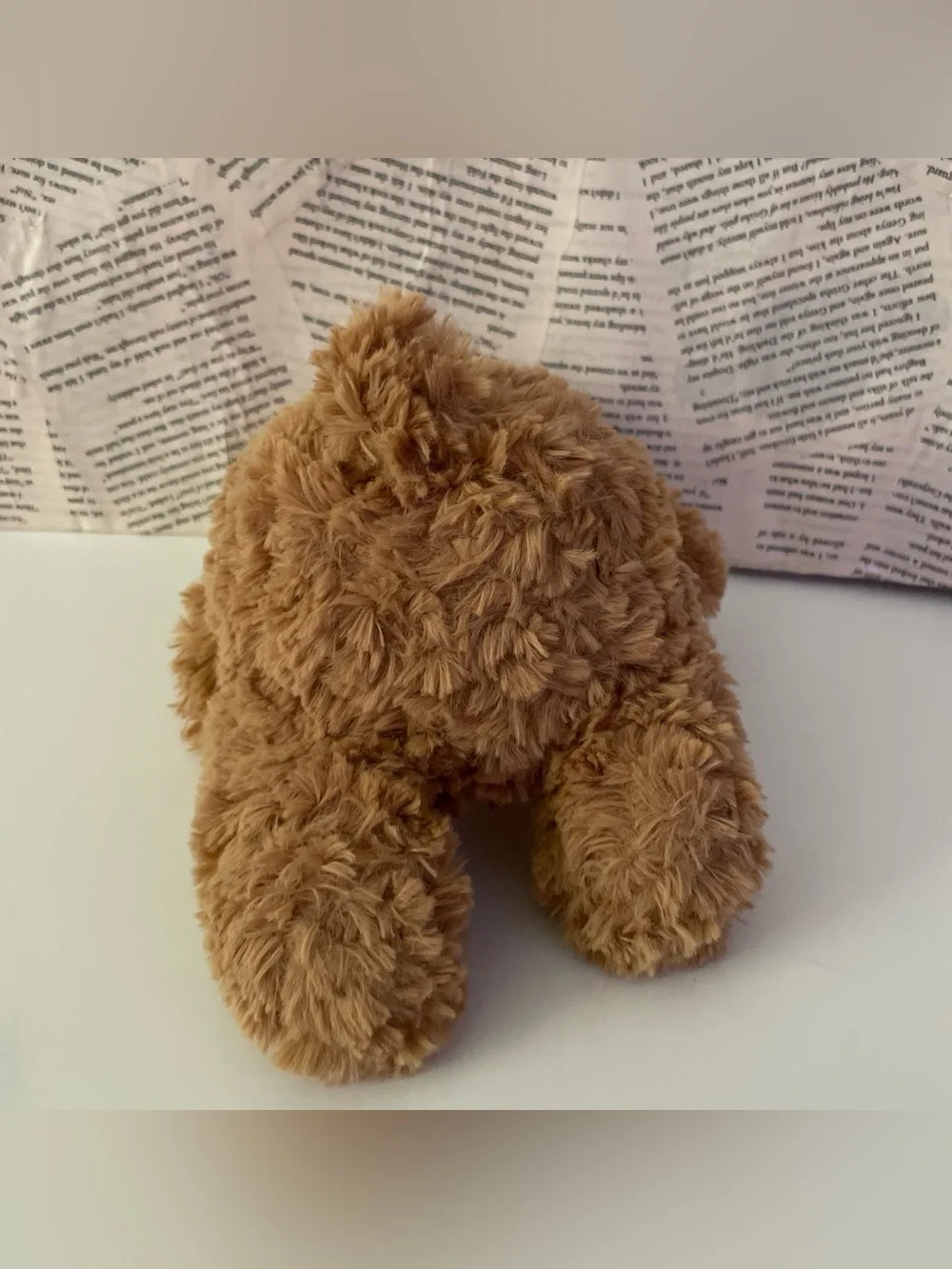 Brown Bear Plushie